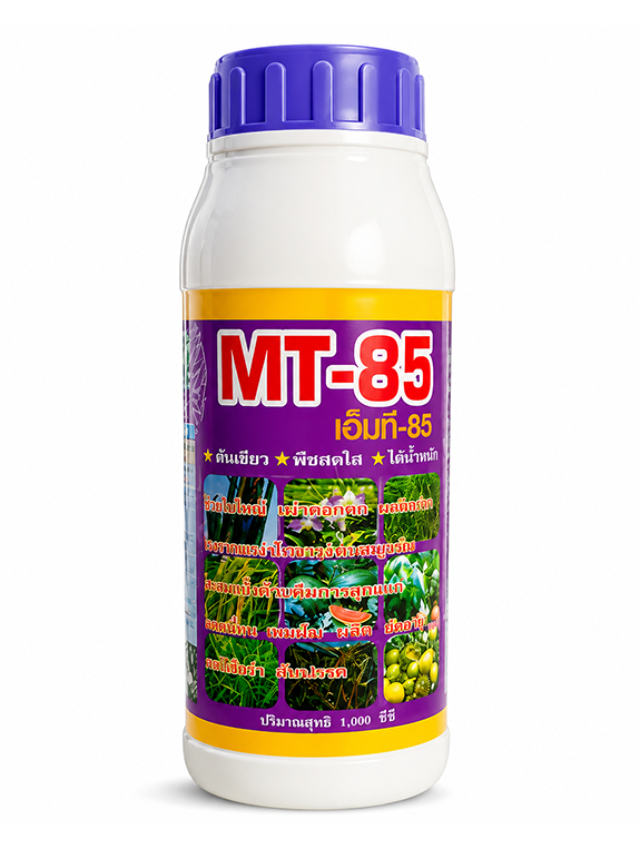 MT-85